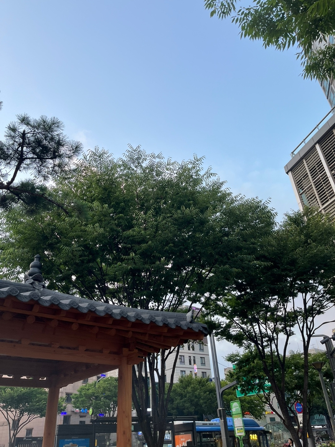 KakaoTalk_20240701_231109221_01.jpg