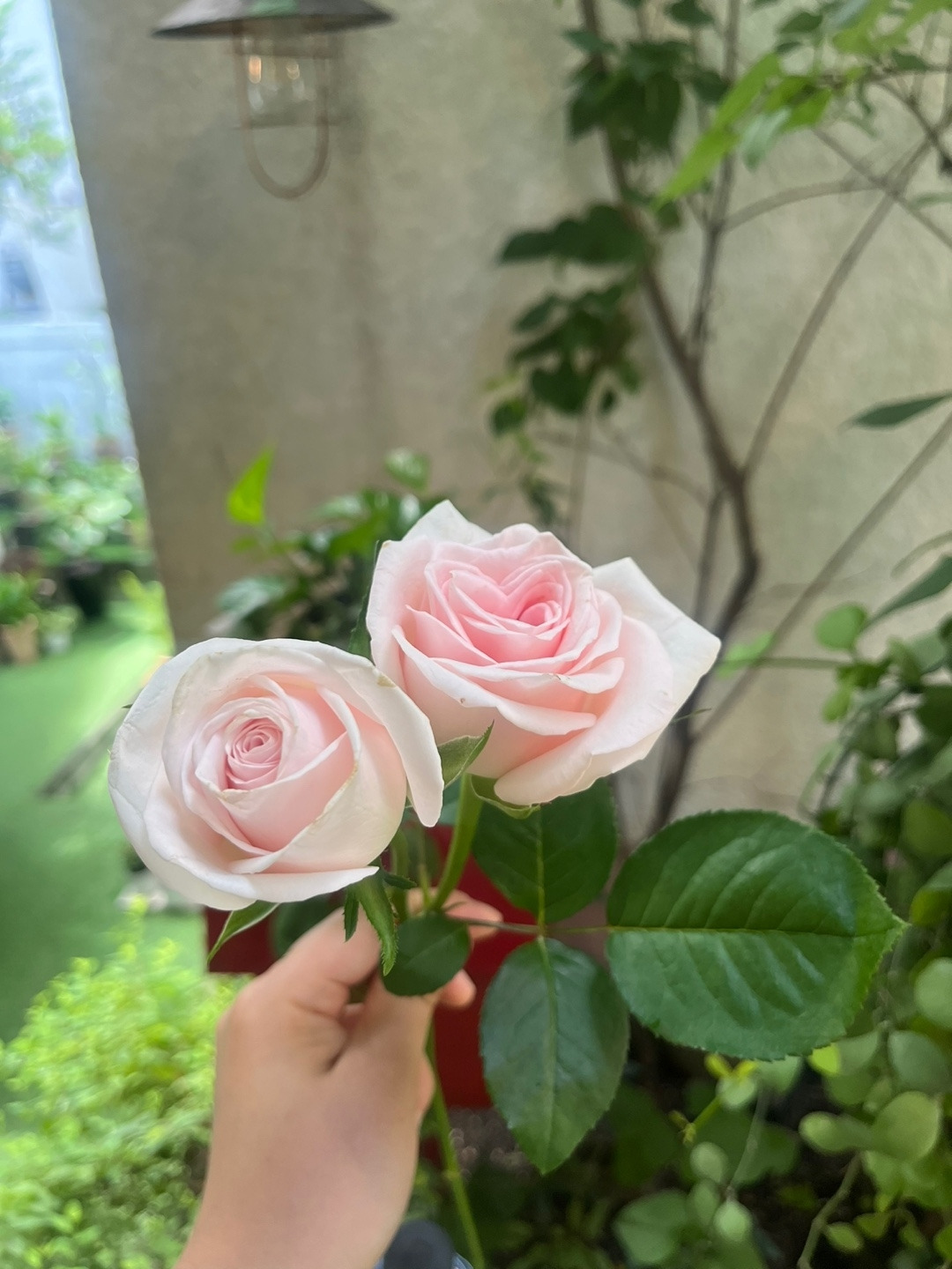 KakaoTalk_20240714_213112069_05.jpg