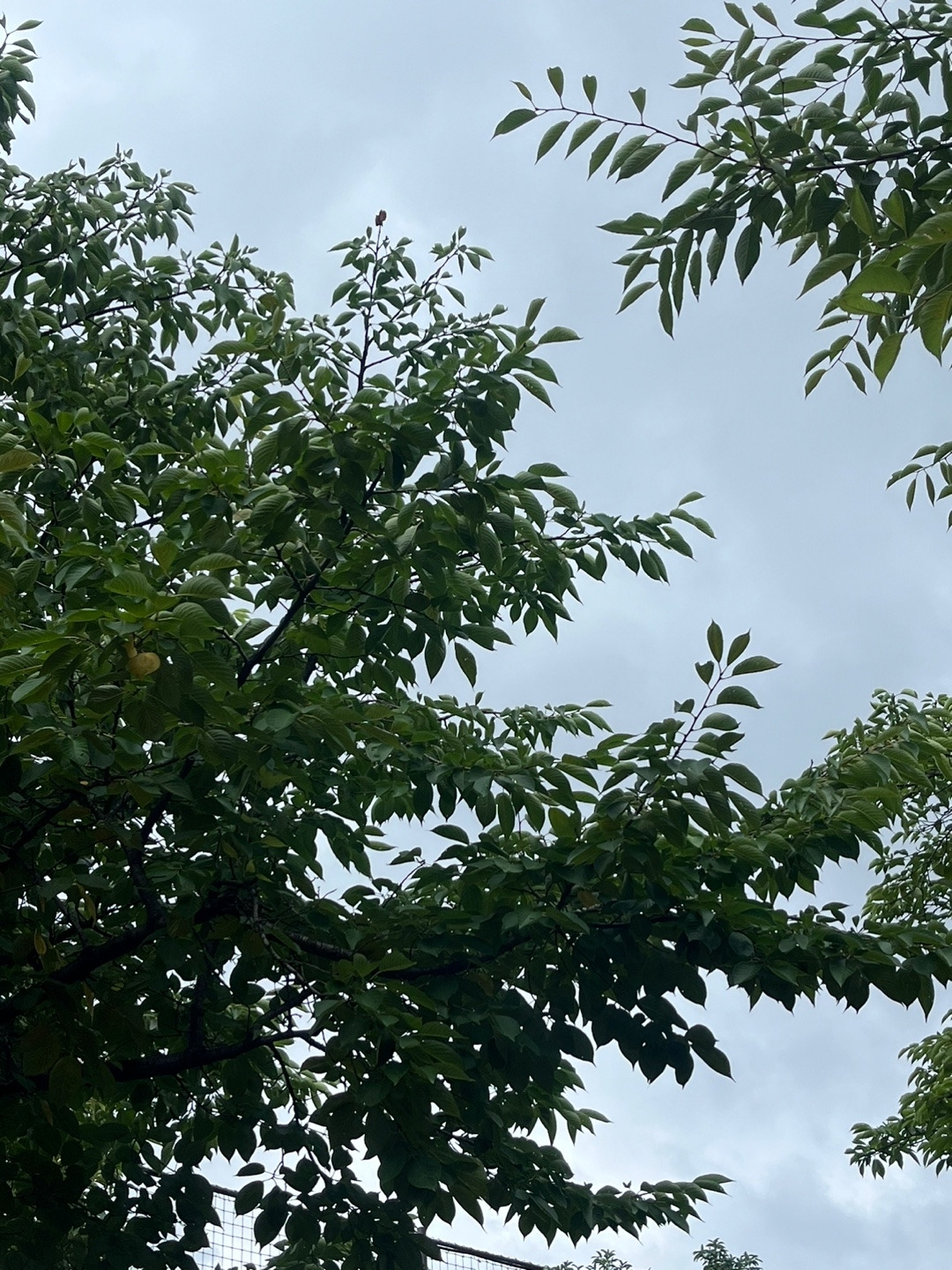 KakaoTalk_20240707_213846773.jpg