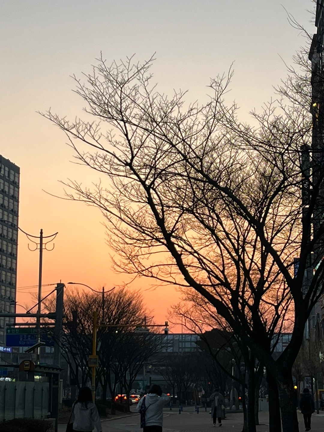 KakaoTalk_20240412_012128314_04.jpg