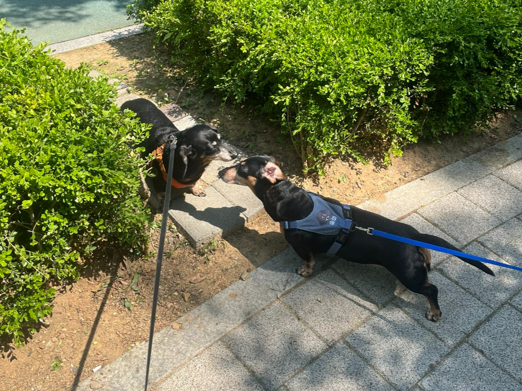 KakaoTalk_20240505_133827174_01.jpg