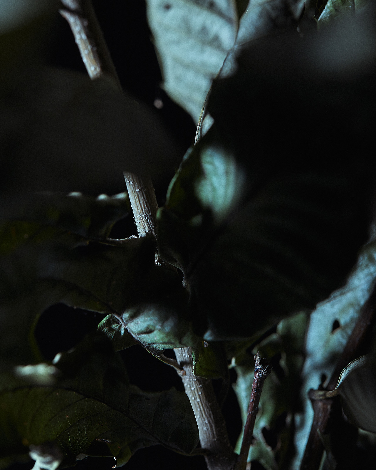 211012_Y_9656 복사.jpg