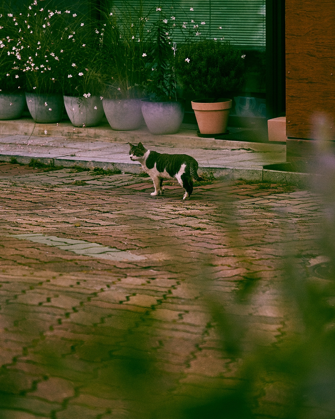 210930_Y_0265 복사_1080px.jpg