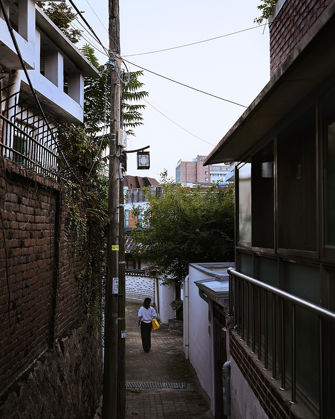 210930_Y_0400 복사_1080px.jpg