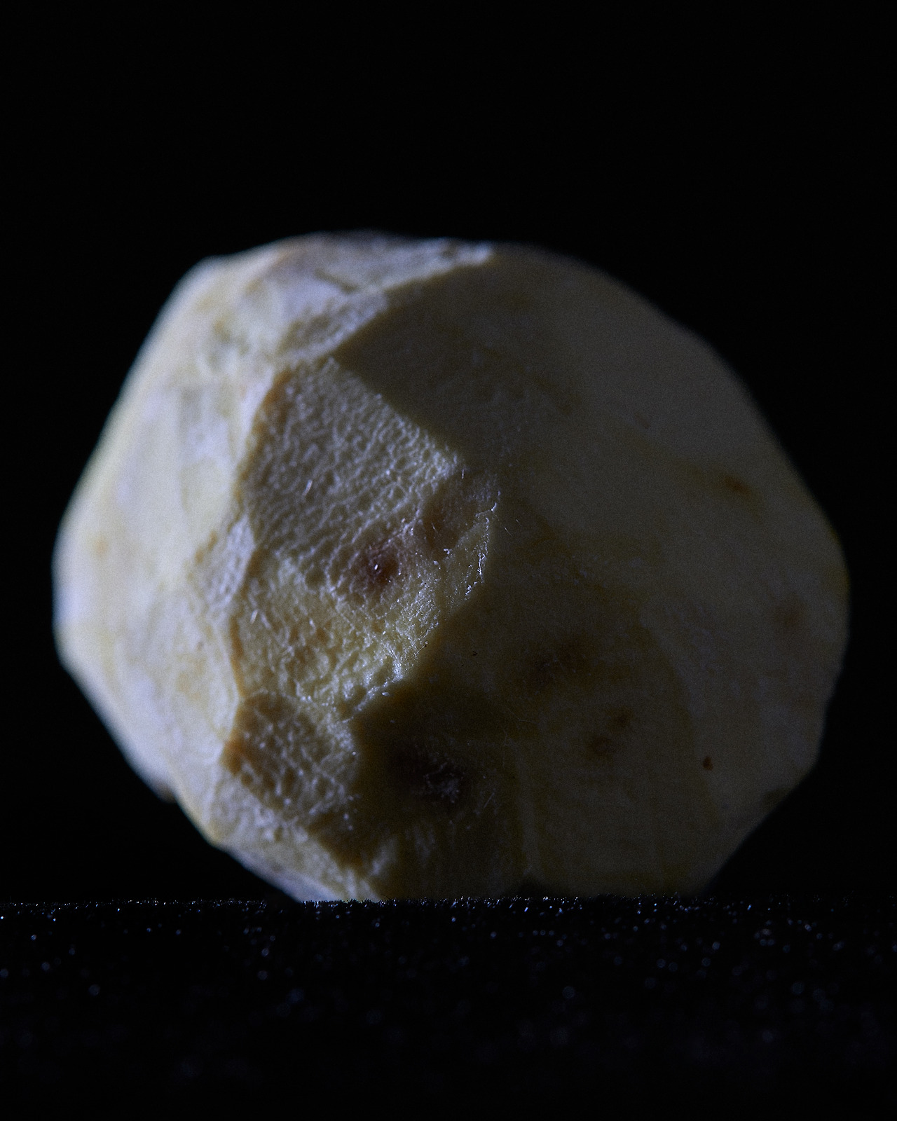 211012_Y_9738 복사.jpg