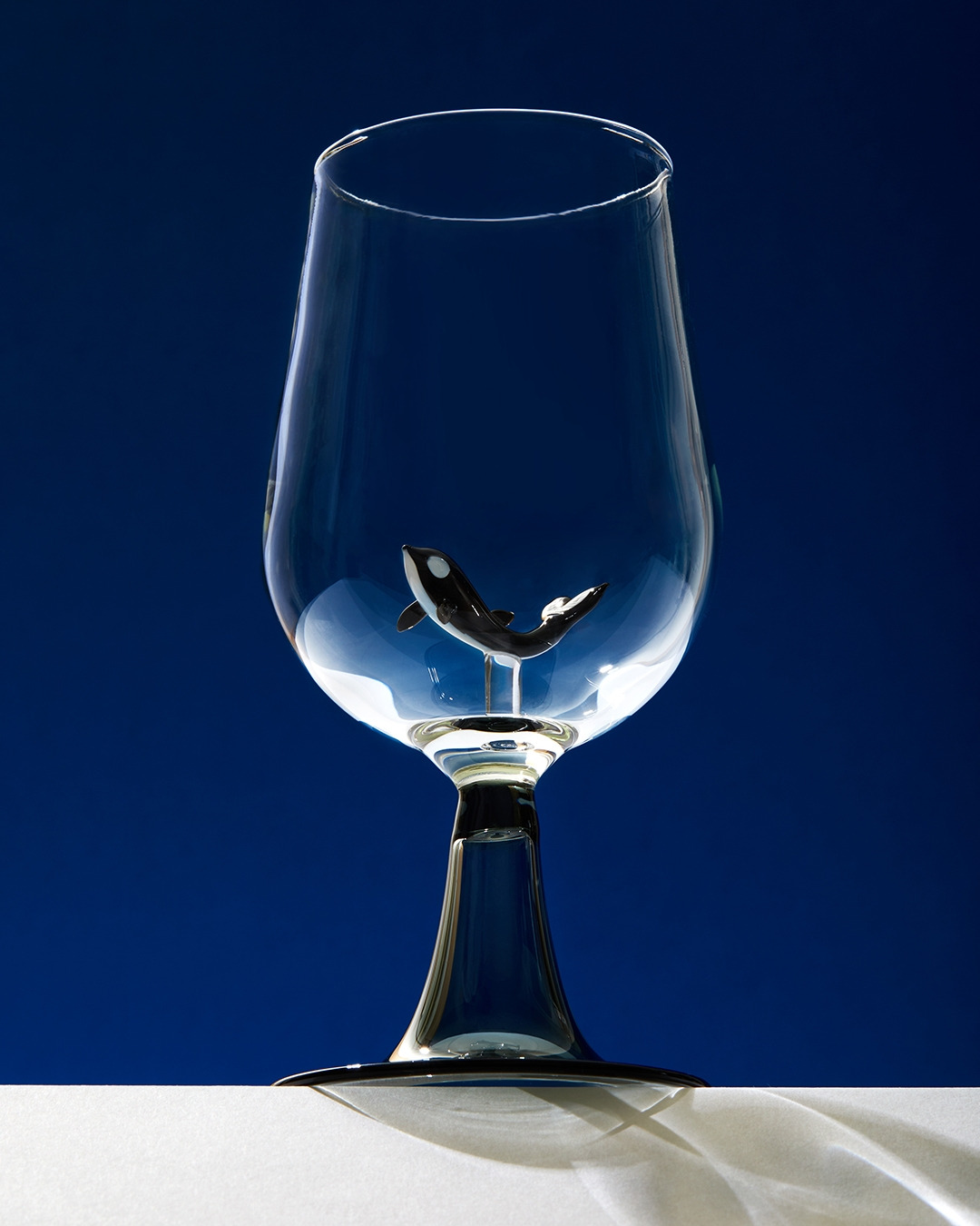 211014_Y_9910 복사_1080px.jpg