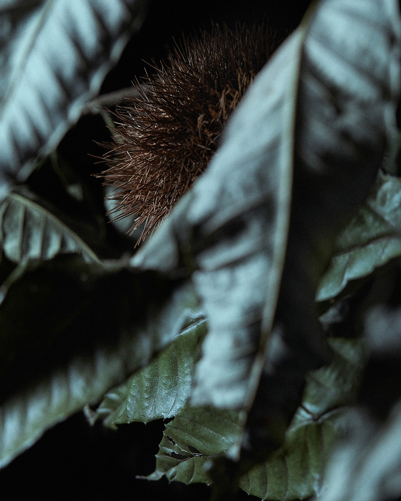 211012_Y_9653 복사.jpg