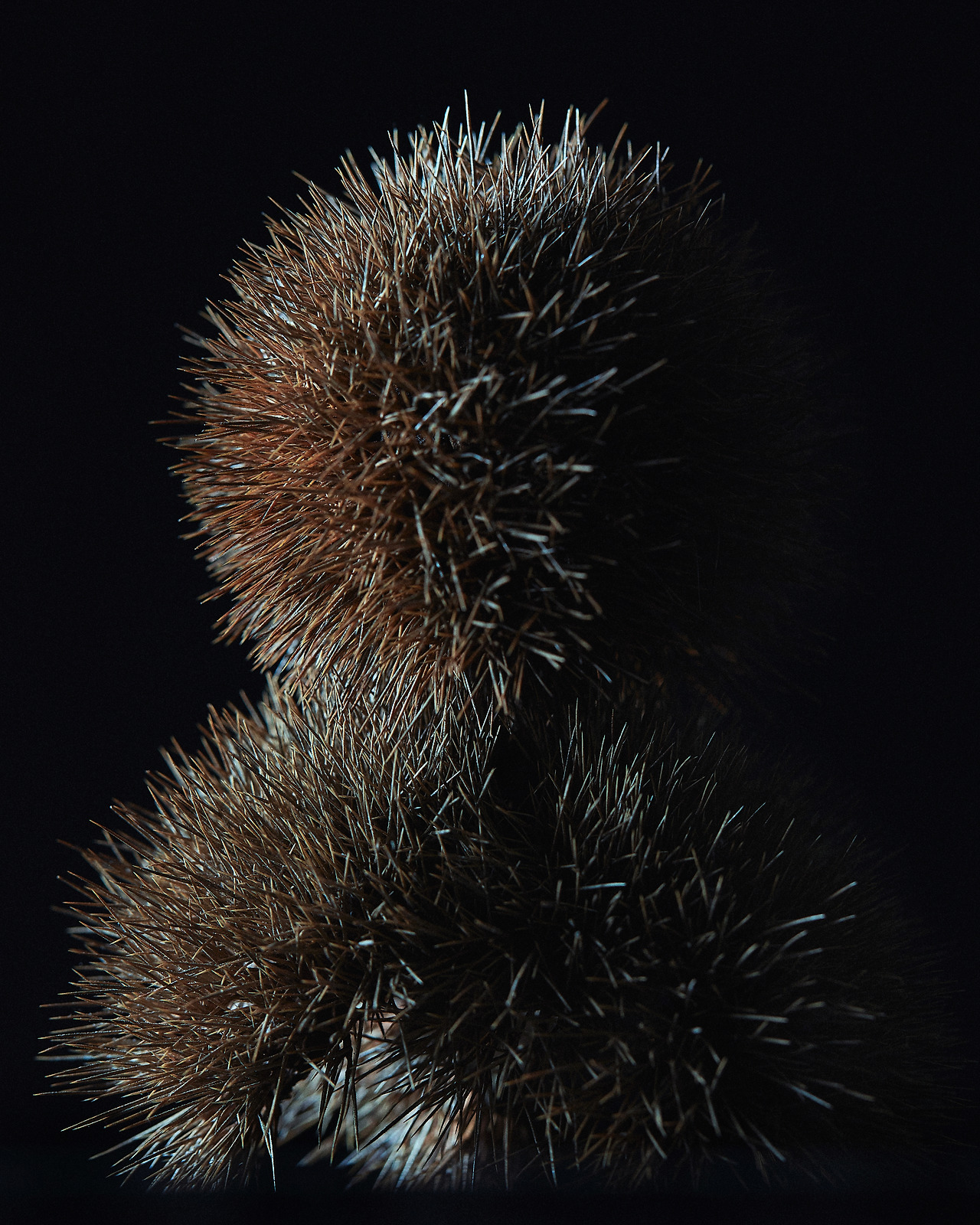 211012_Y_9632 복사.jpg