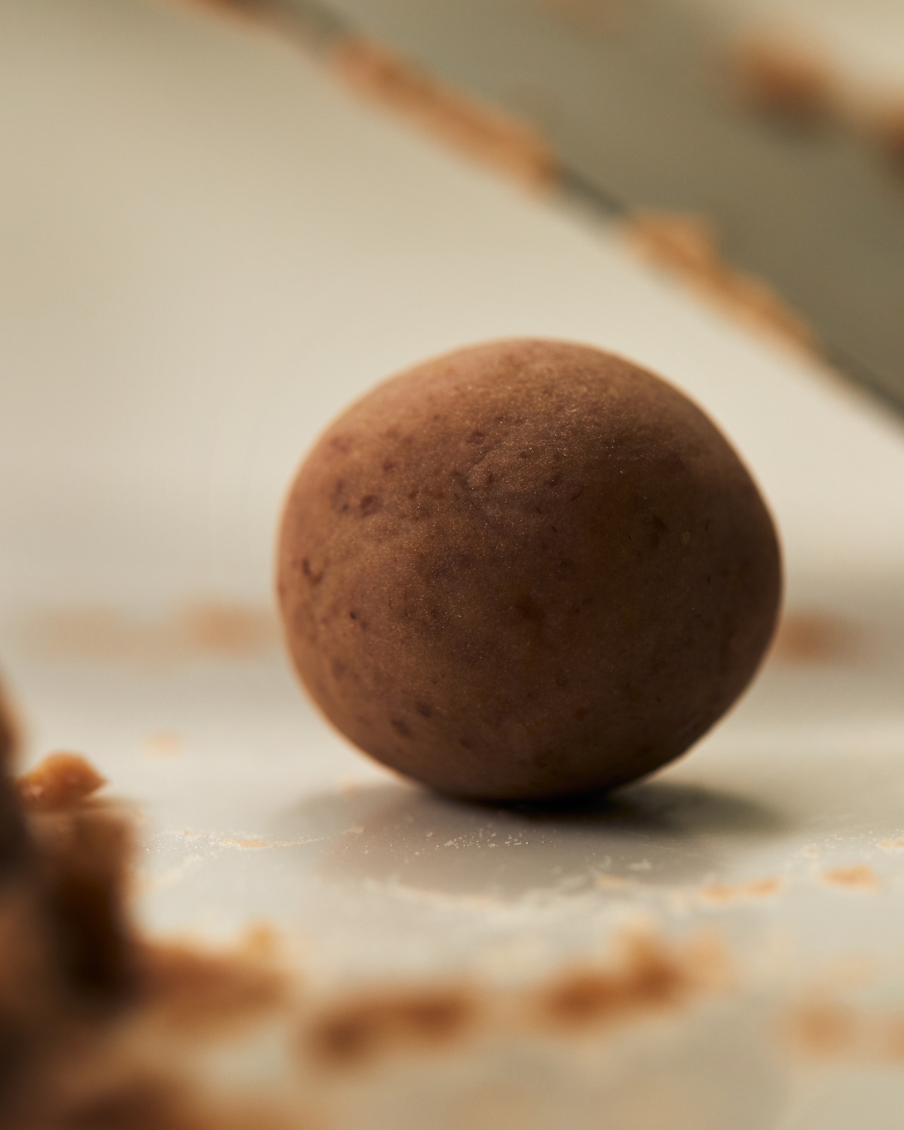 211007_Y_9463 복사.jpg