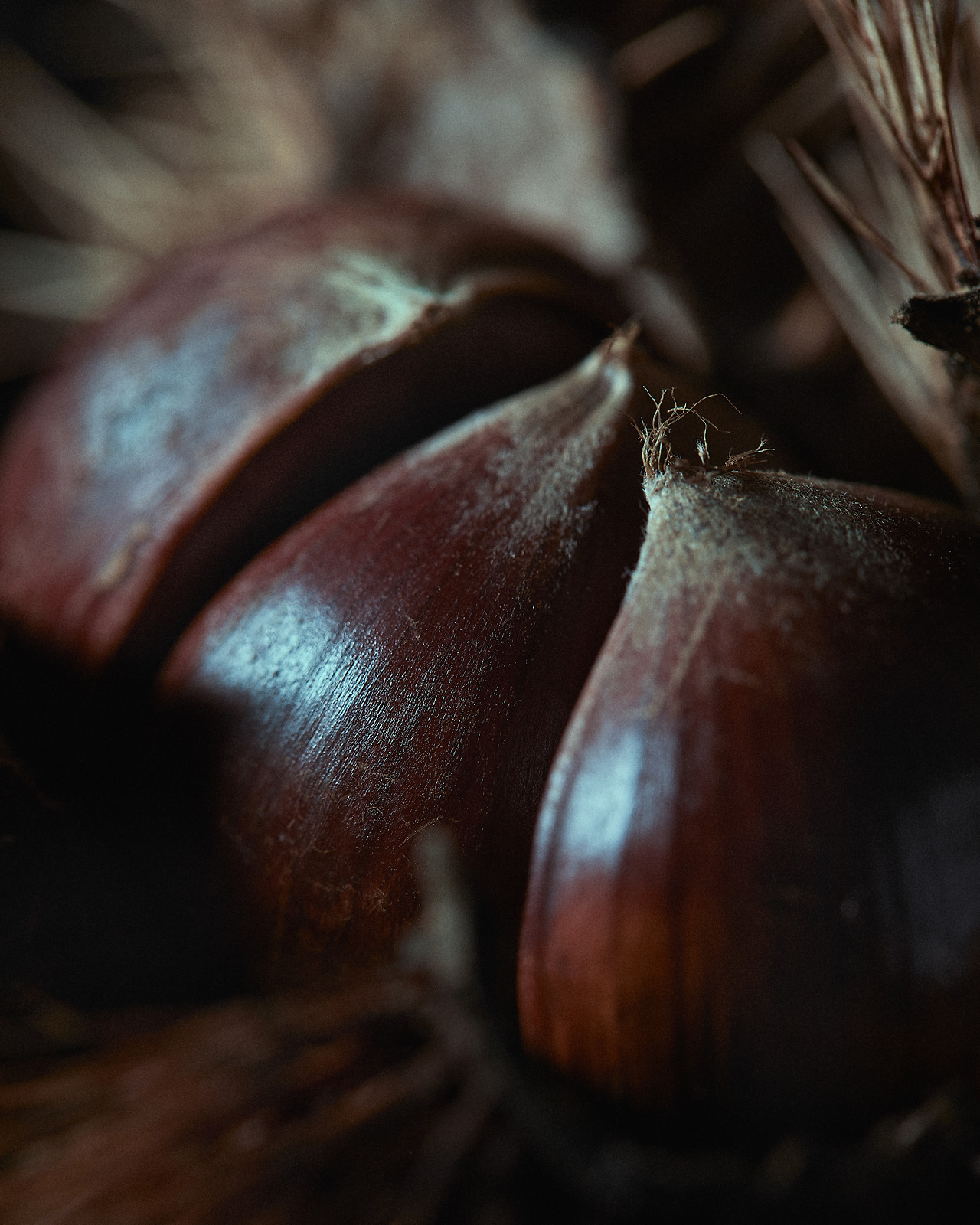 211012_Y_9685 복사.jpg