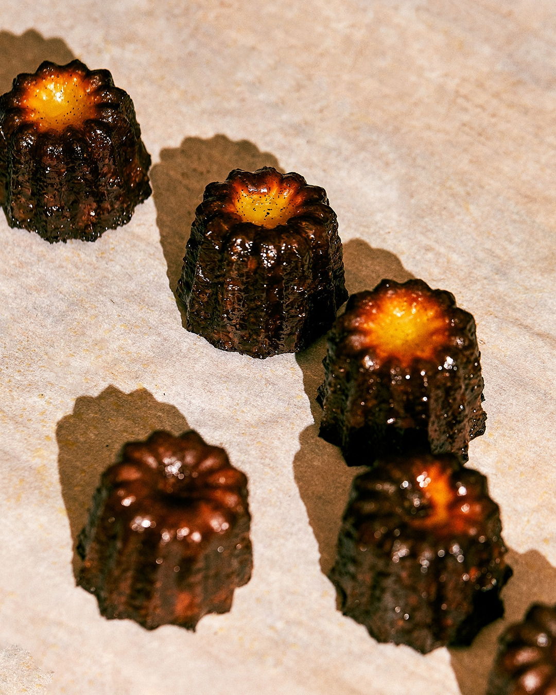 220214_Y_0059 copy_1080px.jpg