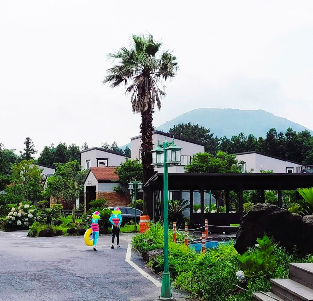 제주 수영장.jpg