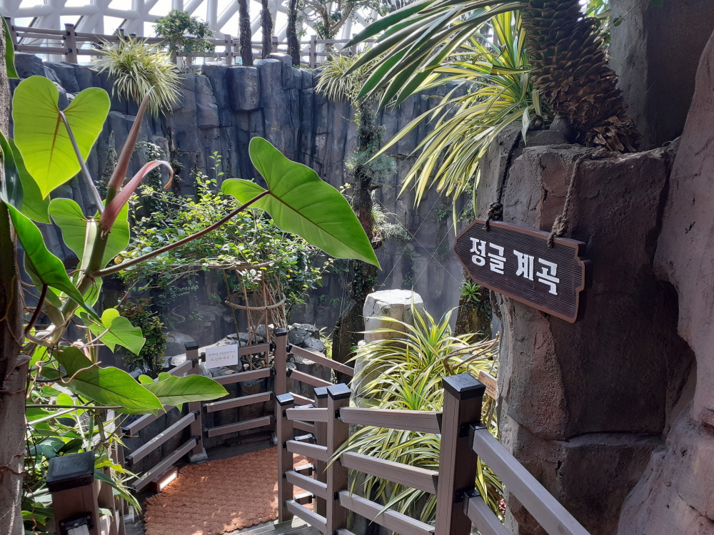 정글돔1.jpg