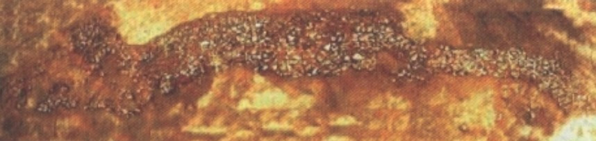 홍산문화 용돌무더기.jpg