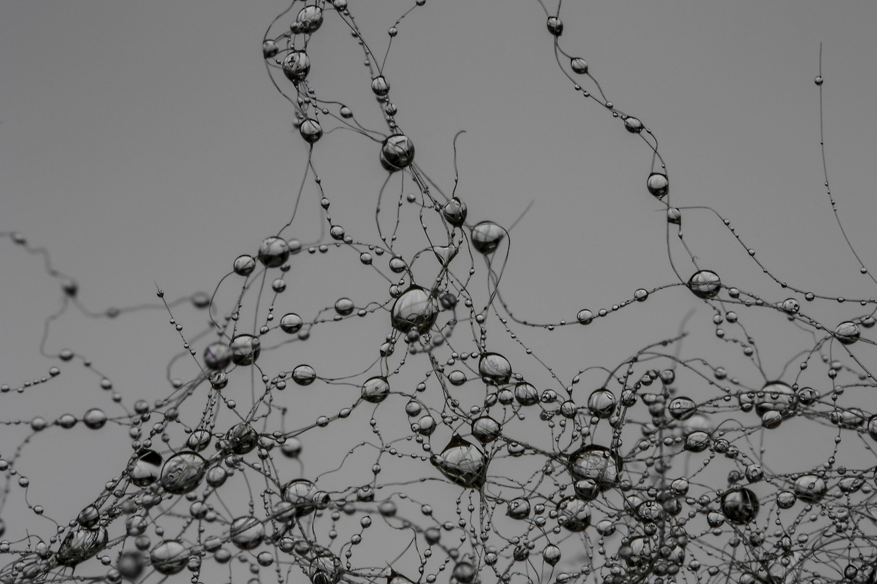 눈물(제라드 웨이).jpg