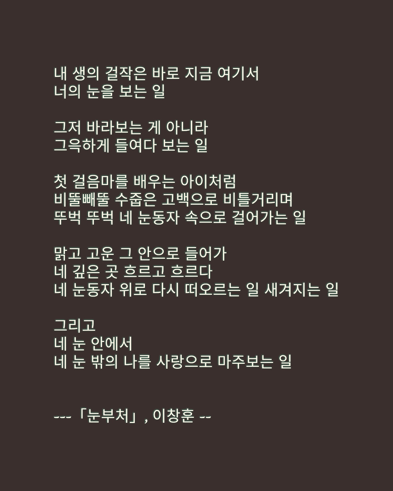 눈부처(이창훈).jpg