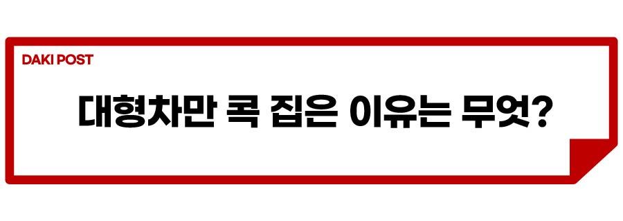 대형차 단속_소제목_2-01.jpg