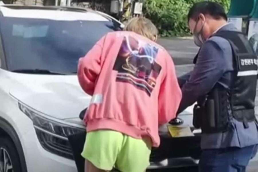 고속도로-단속반-그랜저-단속-경악 4.jpg