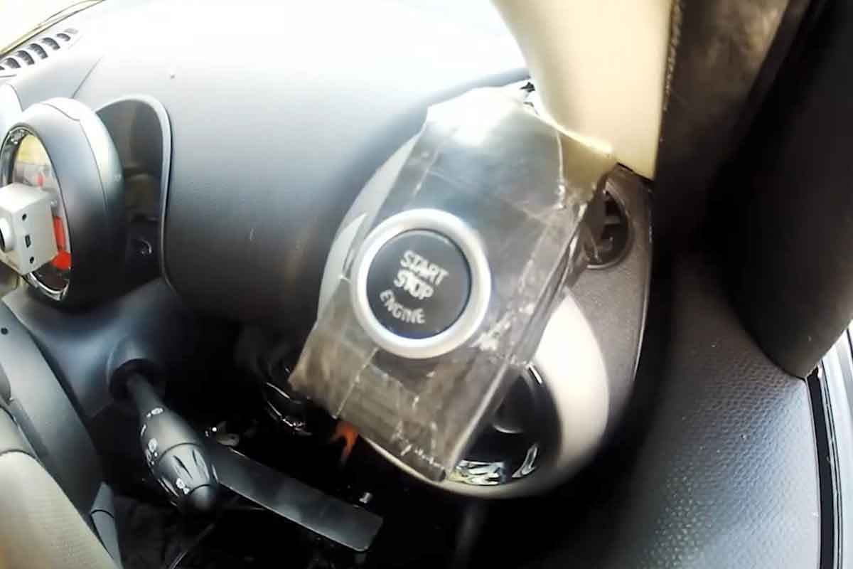 개 운전 해외뉴스 3.jpg