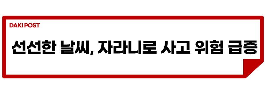 도로 위 자라니_소제목_1-01.jpg