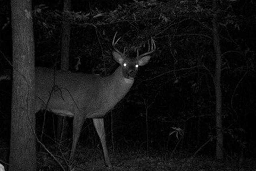 외제차-후미등-주차등-배터리 방전 6.jpg