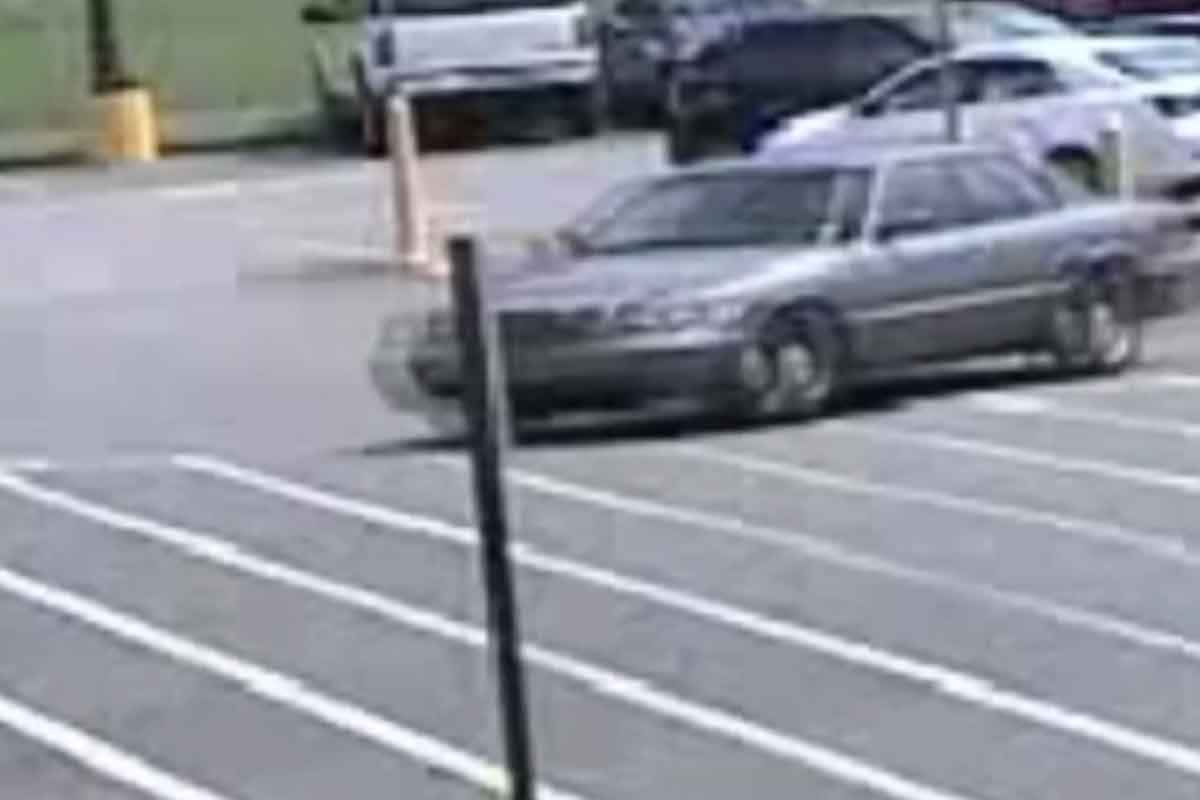 개 운전 해외뉴스 13.jpg