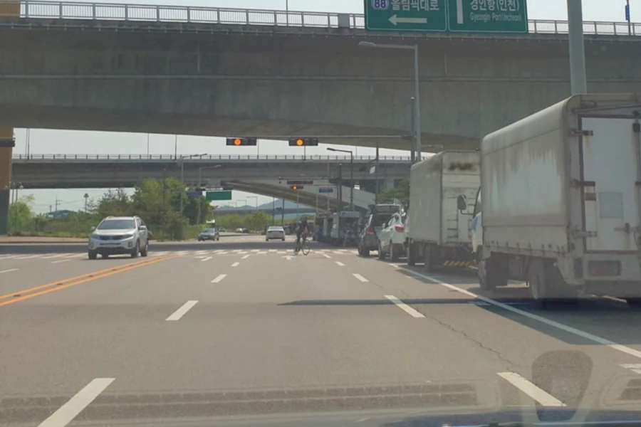 운전자-자전거-자라니-5 (2).jpg