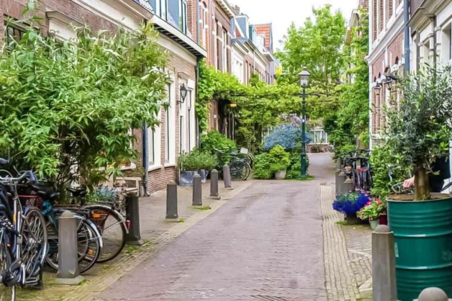 안전하차-자동차 하차-대중교통-대중교통 하차-더치 리치-안전벨트-3.jpg