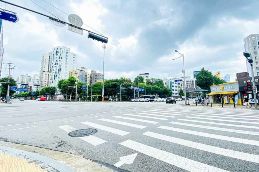 무단횡단-도로교통법-교통법규-교통법규 위반-벌금-1.jpg