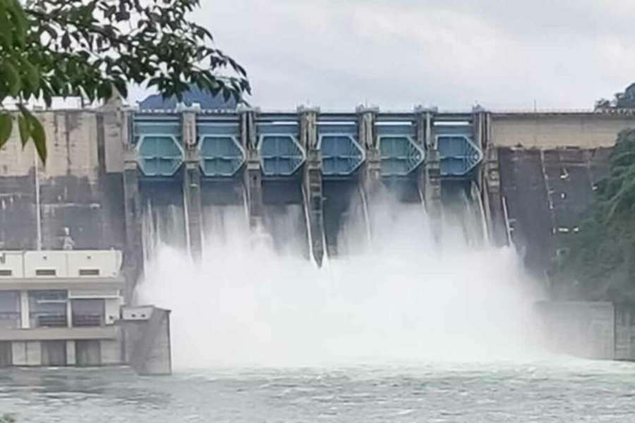 집중호우-자동차 침수 7.jpg