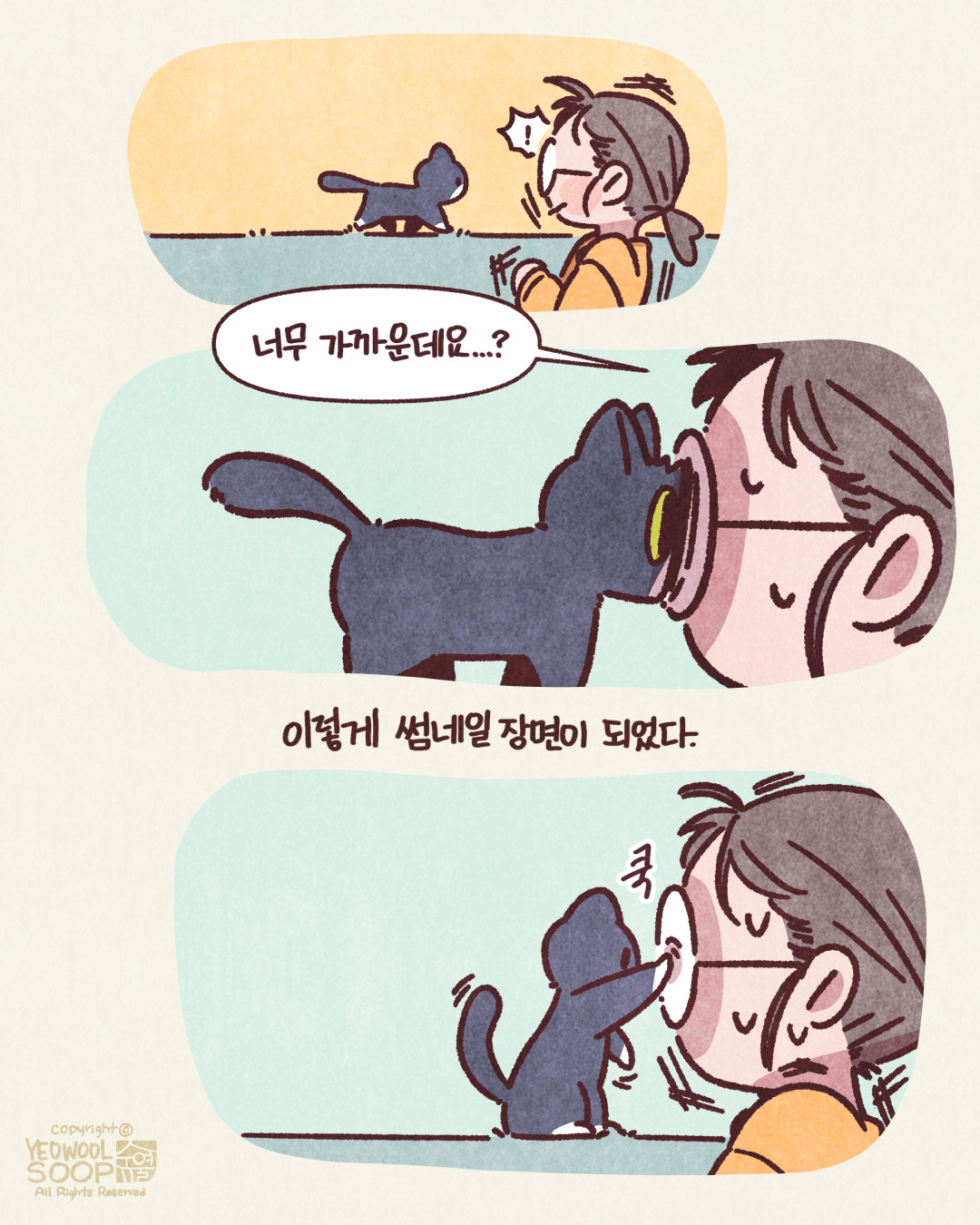 임보일기 12.눈으로 영접한 냥젤리_003.jpg