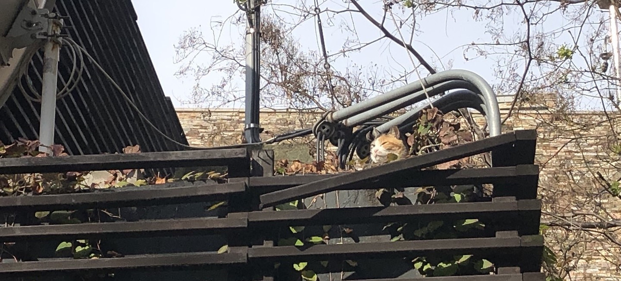 환풍구 아롱이.jpg