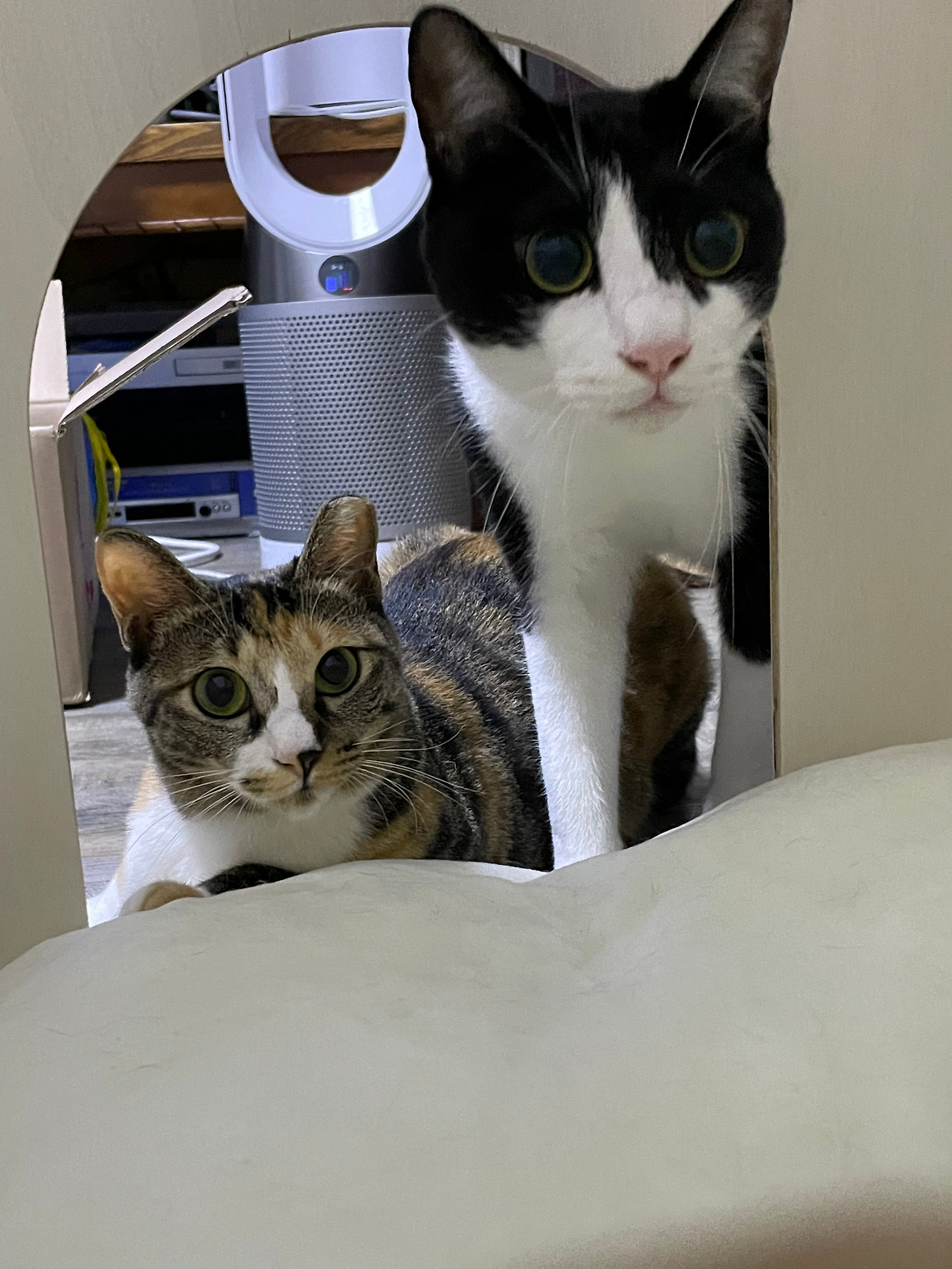 까로와 아미 집.jpg