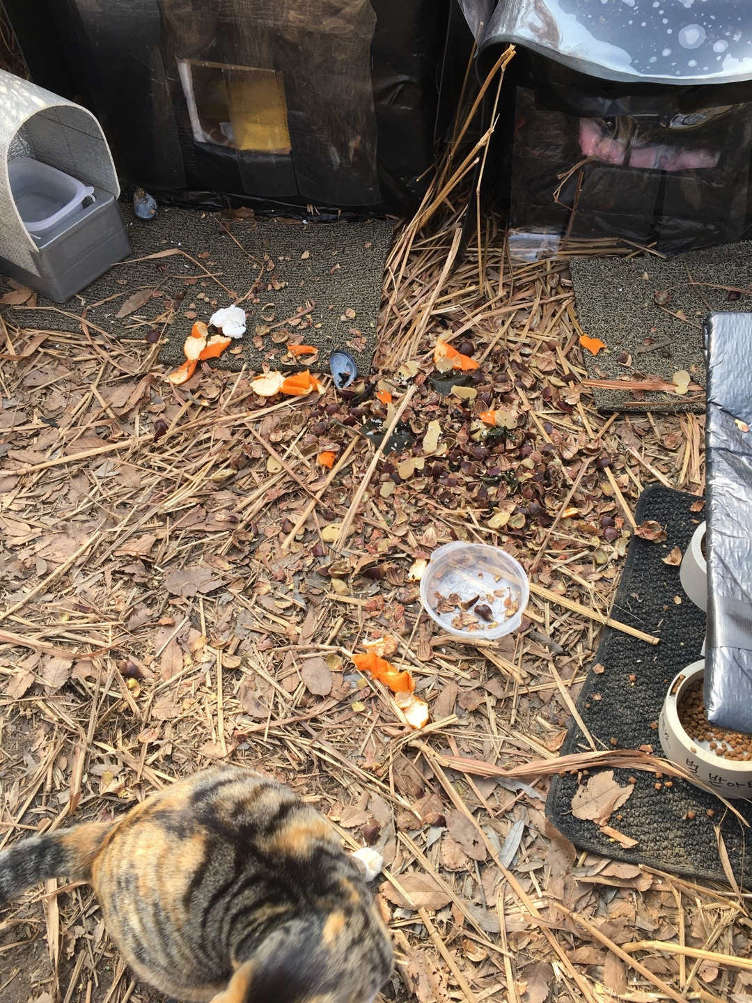 음식물 쓰레기 테러.jpg