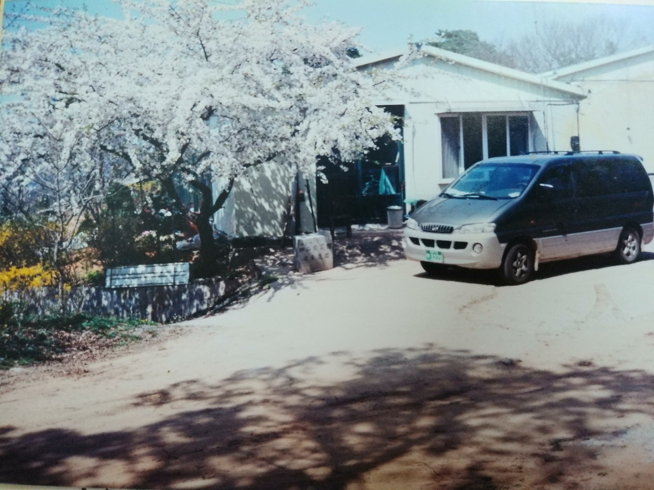 구포리 산 집 앞에서 아버지가 모시던 차를 세워둔 봄 모습.jpg