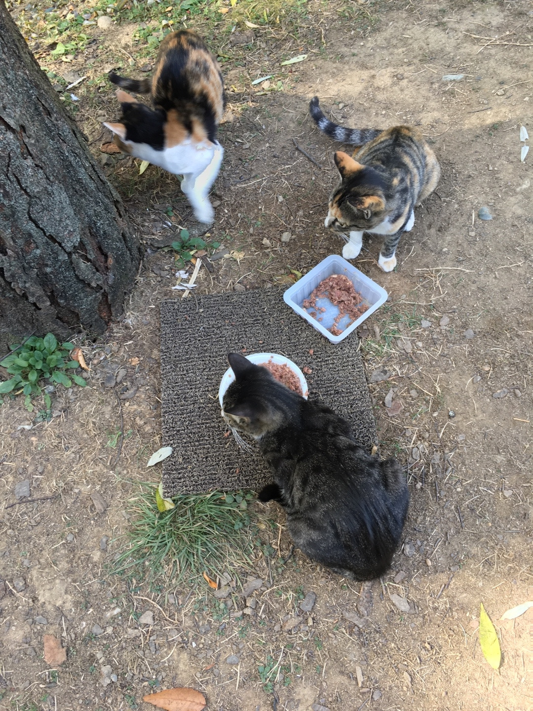 그래도 화목한 아이들.jpg