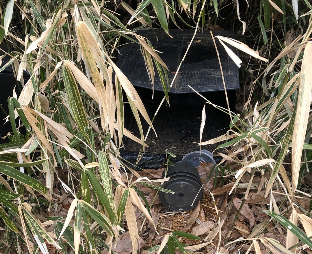 넘어진 급식소.jpg