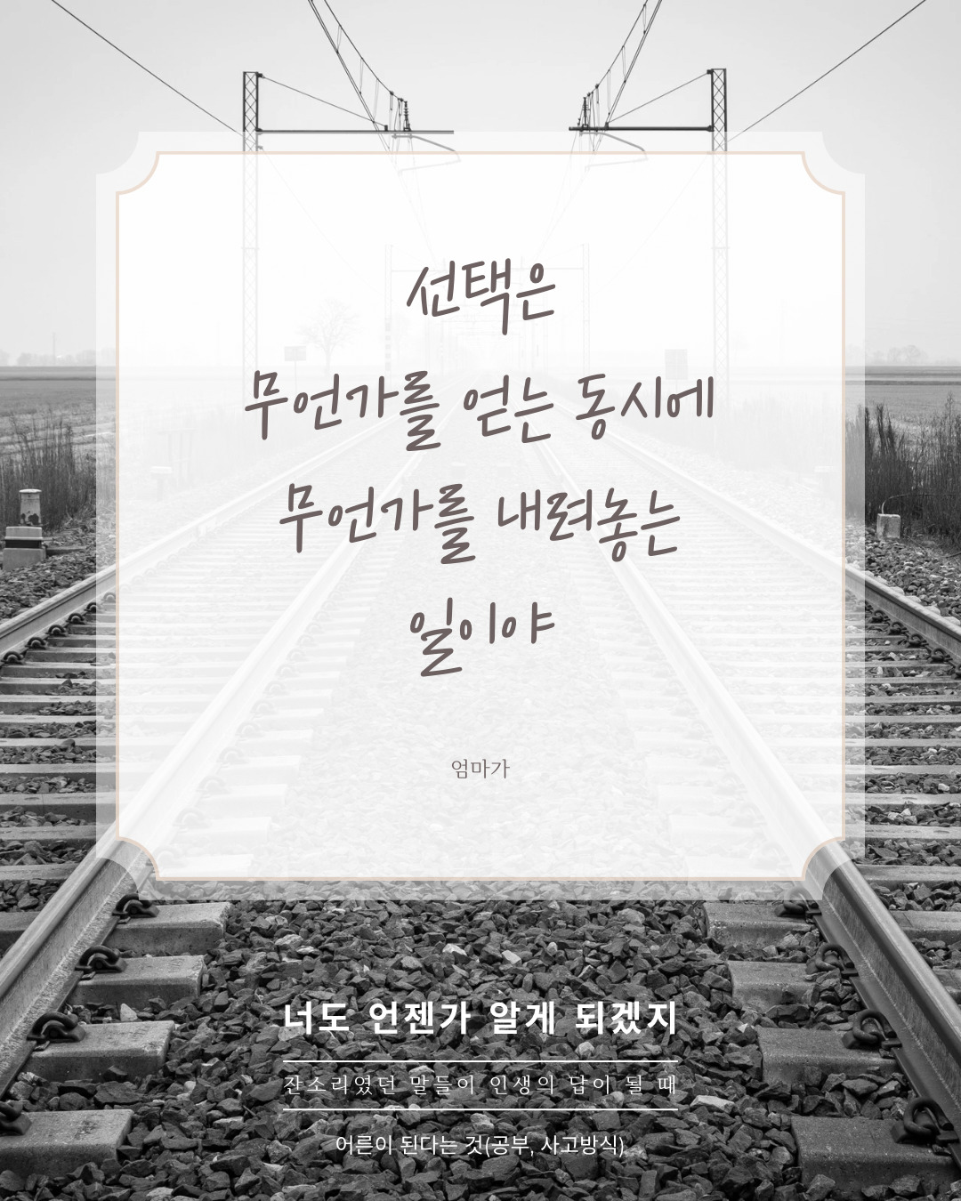 카지노 게임