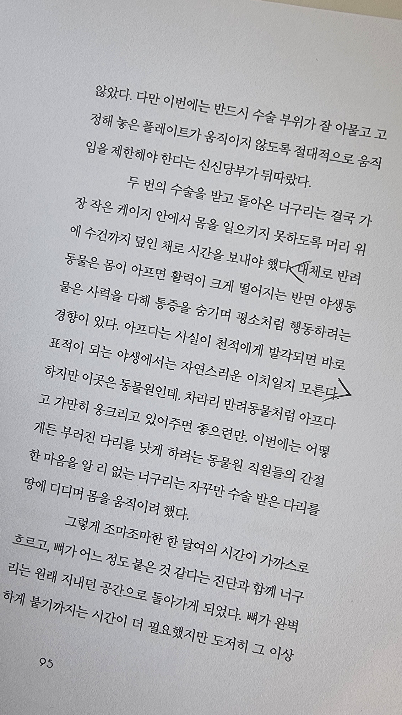 KakaoTalk_20240529_103755055_03.jpg