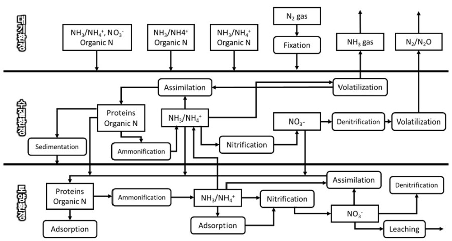 질소 순환, 글쓰기 순환.jpg