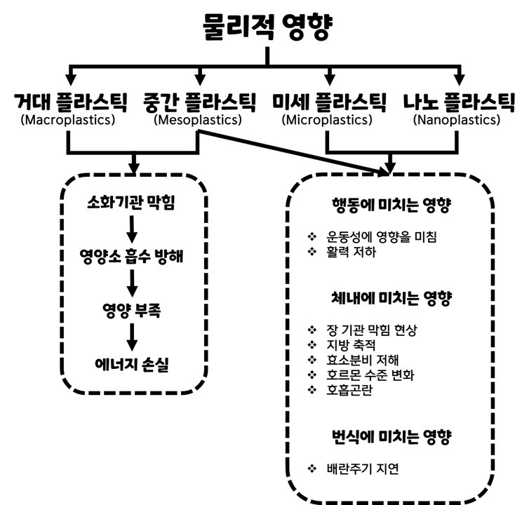 물리적 영향.jpg