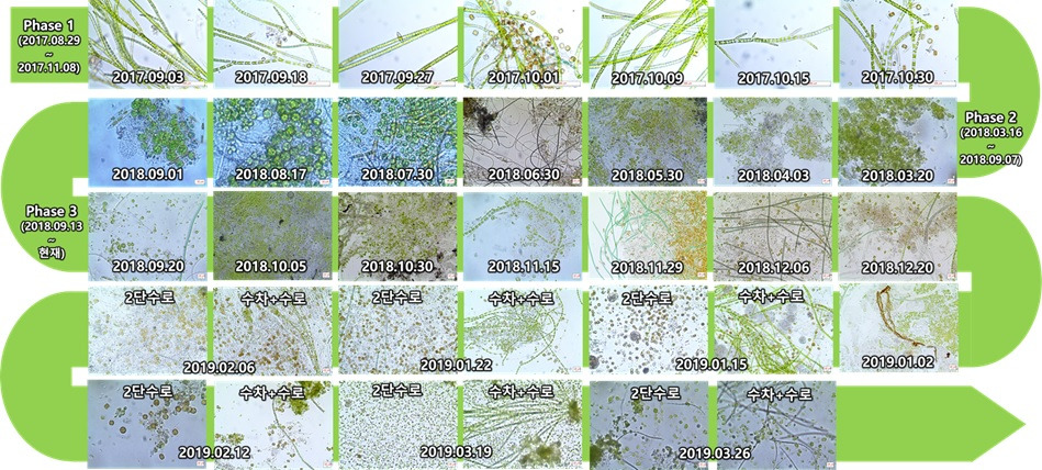 미세조류 변천.jpg