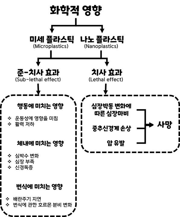 화학적 영향.jpg