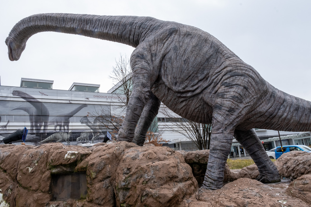 후쿠이로와 소바-19.jpg