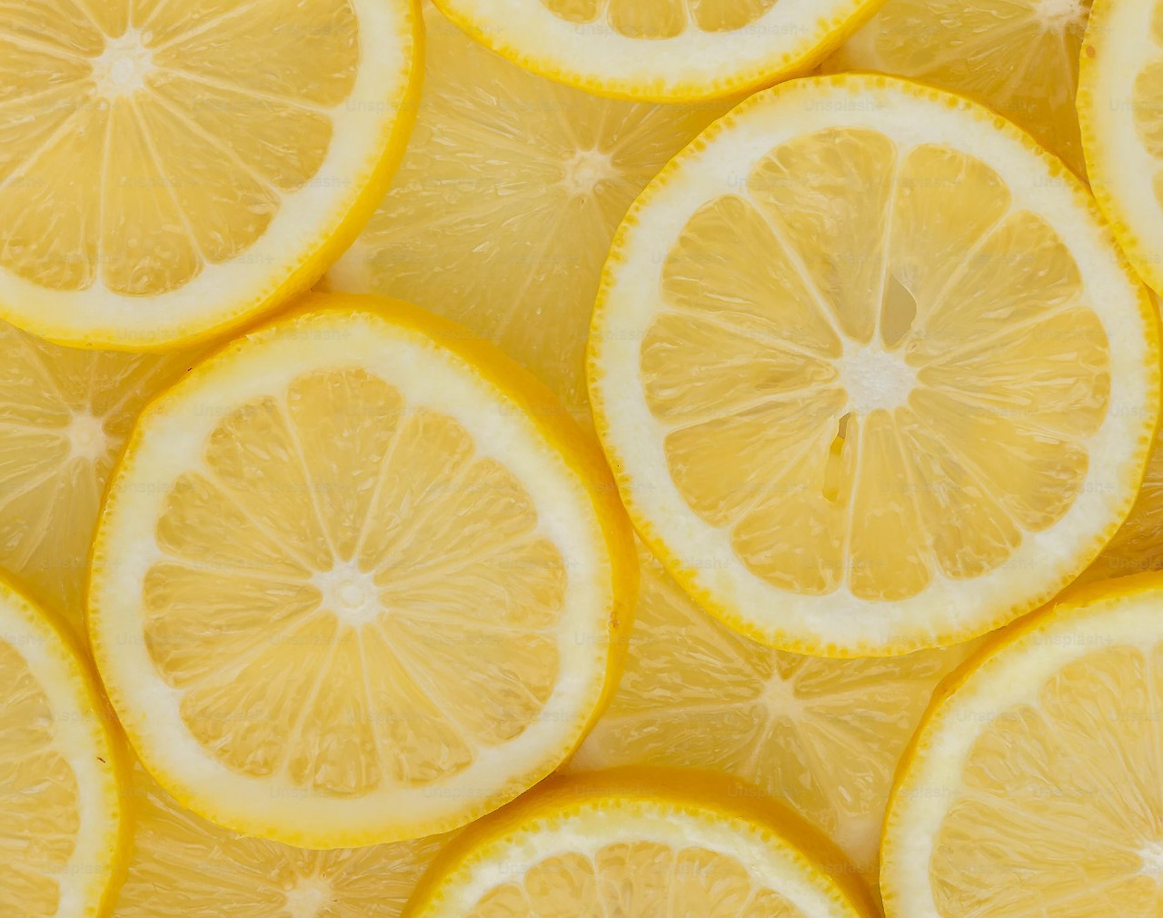 레몬.jpg