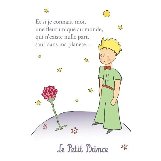 le-petit-prince-and-the-rose.jpg