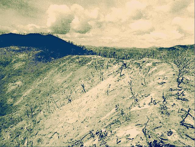 피의 능선-나라사랑.jpg