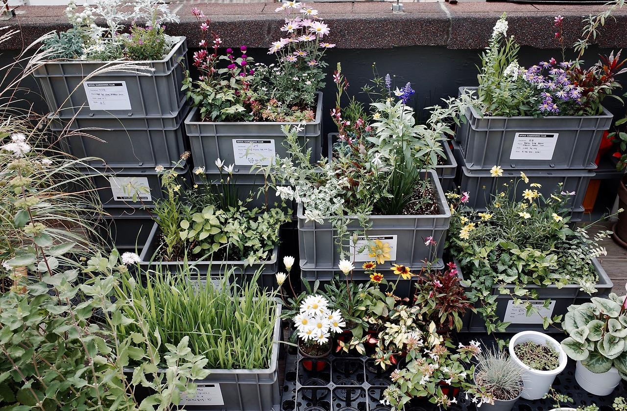 과거공유정원 (2).jpg