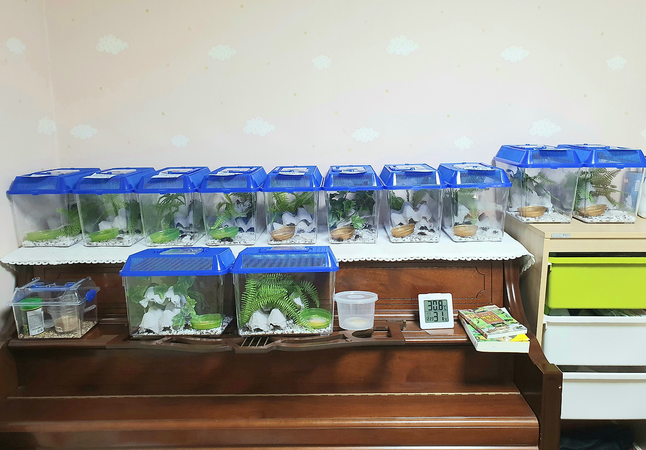 4-1 김민지 5.jpg