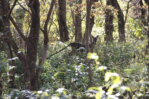 4-5 이령각 1.jpg